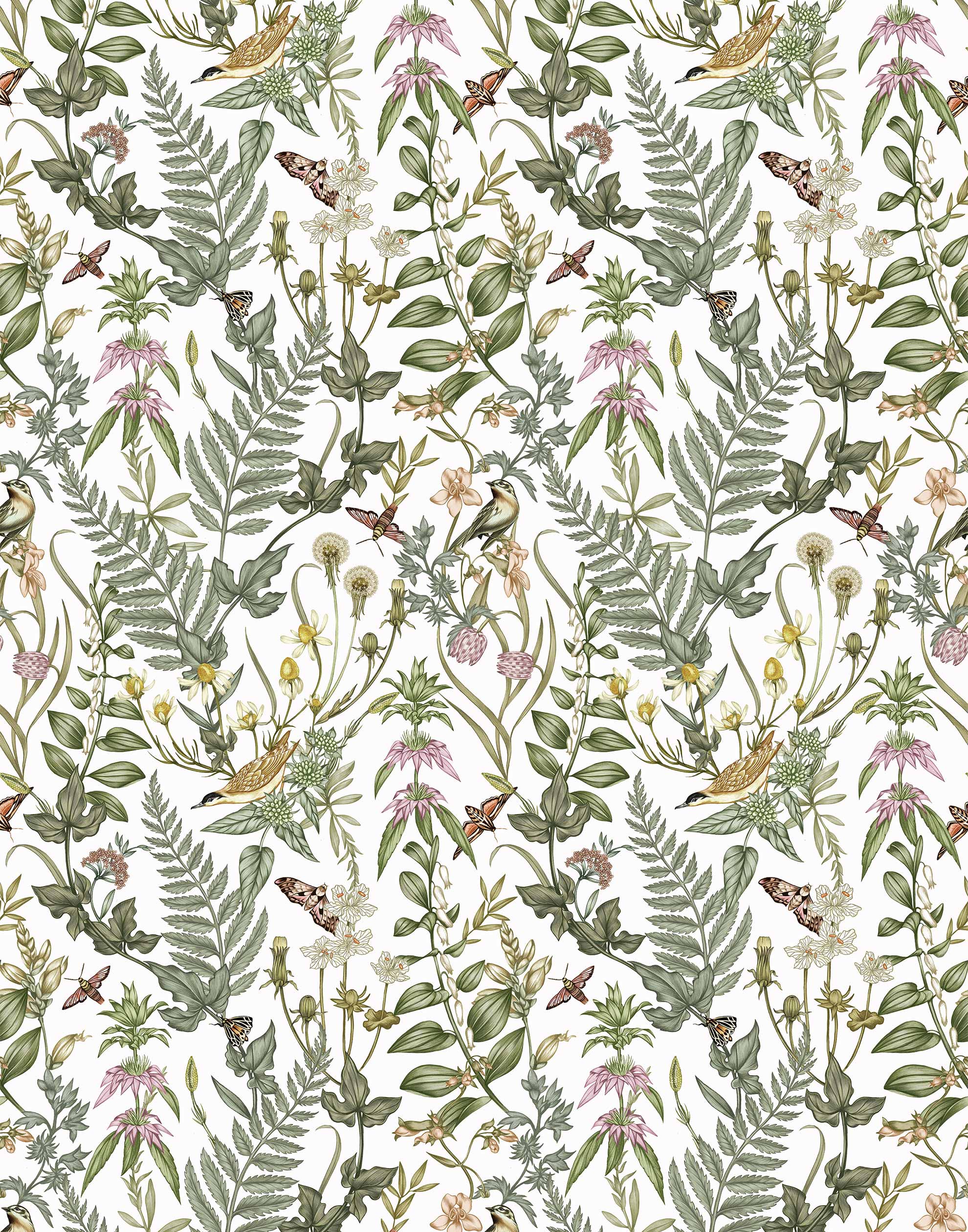 Secret Garden (White) wallpaper features shades of green, brown and pink plants, birds and butterflies on a true white background