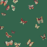 Butterflies (Malachite) featuring red, sage and yellow butterflies on a green background | Nathalie Lete + Hygge & West